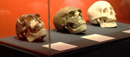 Sonderausstellung die Macht des Feuers