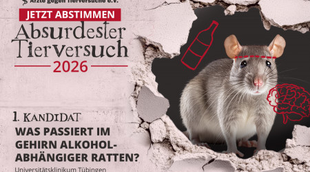 Flyer Absurdester Tierversuch 2026