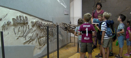 Quelle: RTF.1 Kinder in der Paläontologischen Sammlung